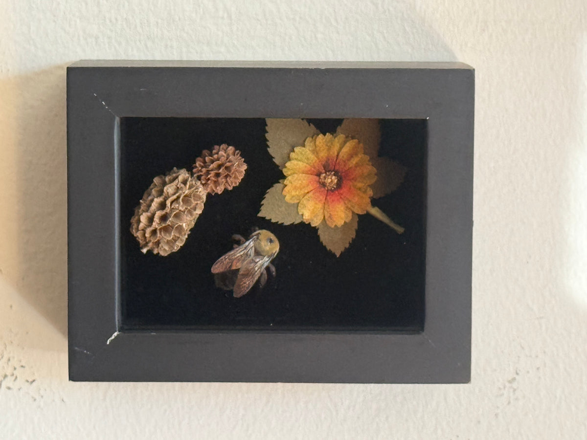 Baby Bumble Bee