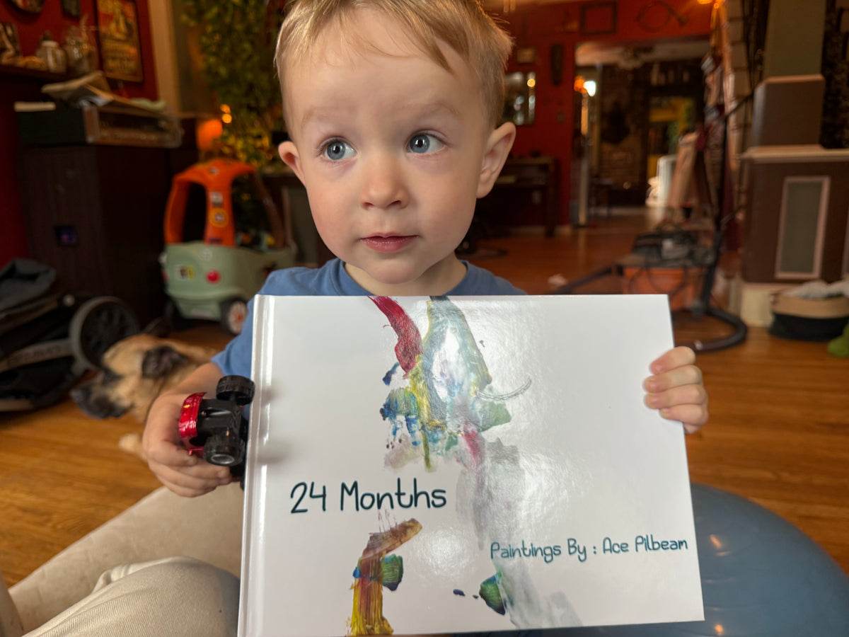 24 Months - Paintings by Ace Pilbeam :Hardcover Book